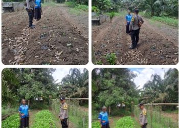Sambangi Ladang Warga, Bhabinkamtibmas Bosar Maligas Tampung Keluhan Sulitnya Akses Pupuk Subsidi.