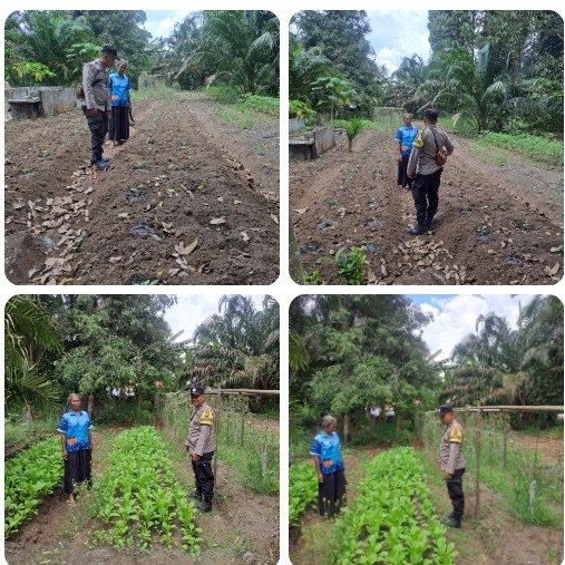 Sambangi Ladang Warga, Bhabinkamtibmas Bosar Maligas Tampung Keluhan Sulitnya Akses Pupuk Subsidi.