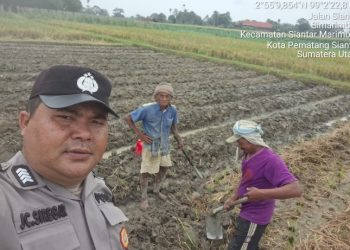 Bhabinkamtibmas Polsek Siantar Marihat Sambang DDS di Persawahan Sianjur Nauli.