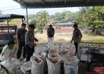 Polsek Siantar Selatan Bersama Petani Binaan Panen Jagung di Jalan Tepian.