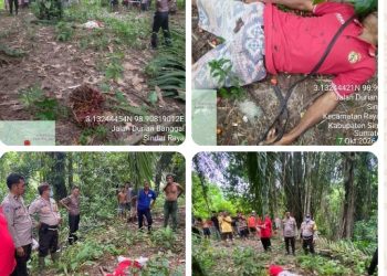 Polisi Bersama Masyarakat, Polres Simalungun Bantu Evakuasi Korban Tertimpa Buah Kelapa Sawit di Raya Kahean.