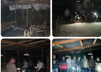 Respon Cepat! Aduan Warga Lewat "Halo Pak Kapolres Simalungun" Langsung Ditindaklanjuti, Gelanggang Sabung Ayam di Karang Bangun Dibongkar.