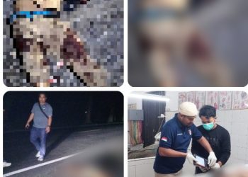 Sigap Evakuasi Temuan Mayat Diduga Korban Tabrak Lari di Jalinsum Siantar -Medan, Polres Simalungun Telusuri Identitas Korban.
