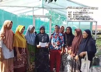 KWT Maju Bersama Jaya, Kelurahan Nagapita, Kecamatan Siantar Martoba.