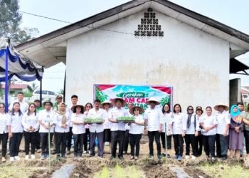 Jaga Ketersediaan & Pasokan Cabai, Pemkab Simalungun Laksanakan Gerakan Tanam Cabai Merah Serentak.